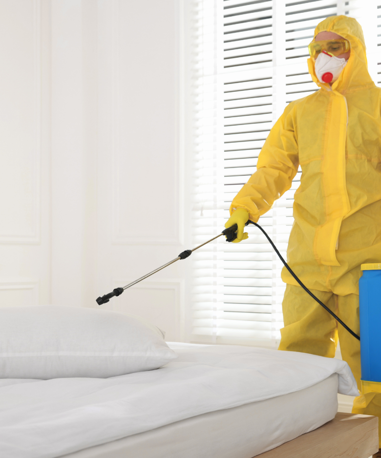 Professional Pest Control Team in Roseworthy